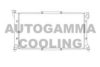 AUTOGAMMA 101447 Radiator, engine cooling